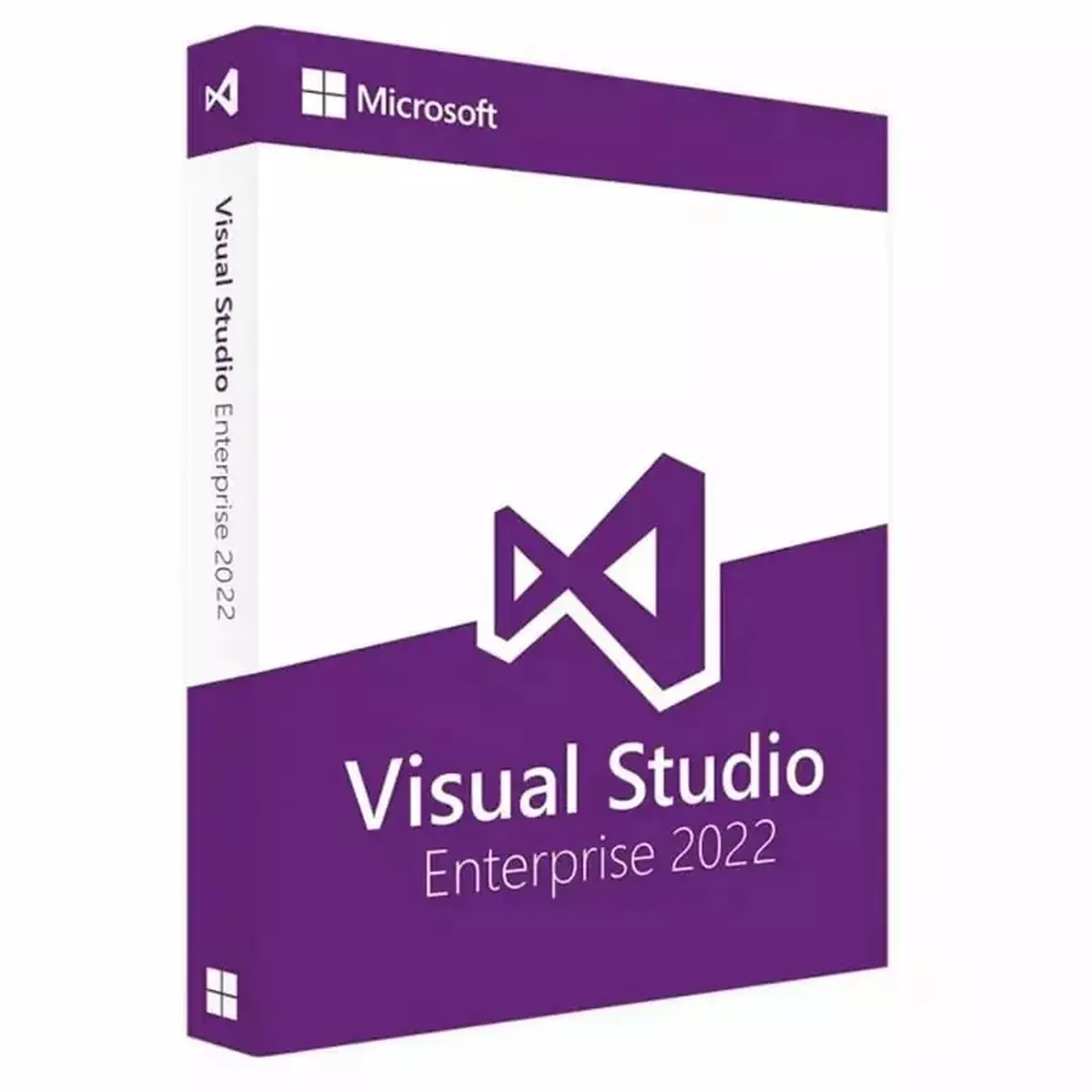 Лицензия Microsoft Visual Studio 2022 Enterprise, MX3-00631