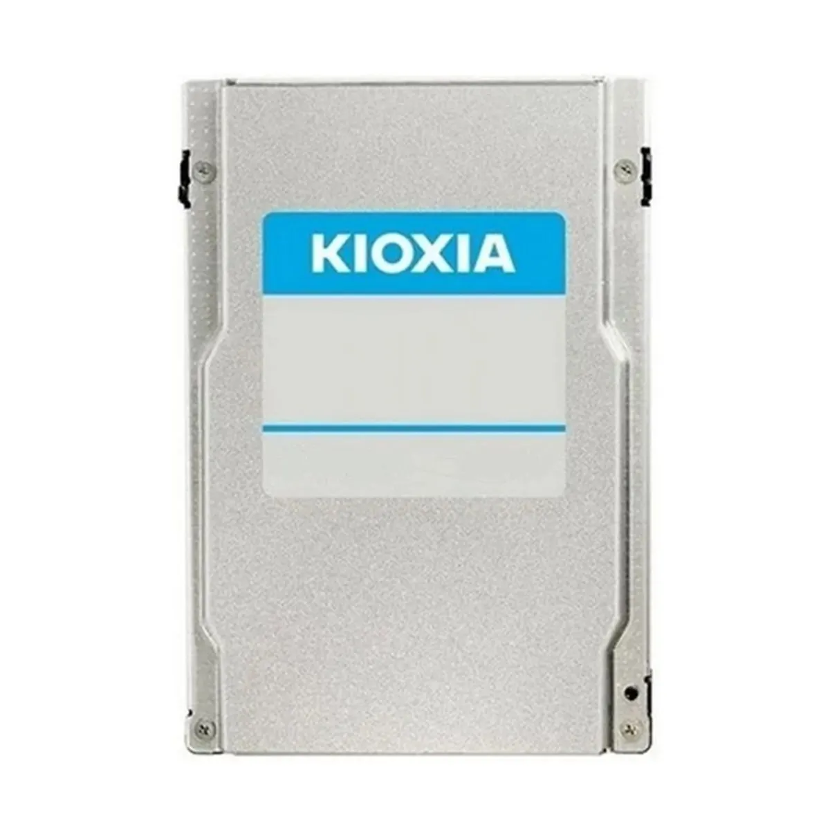 Твердотельный накопитель Infortrend Kioxia U.3 NVMe SSD, PCIe Gen4, 3.84 ТБ, DWPD=1