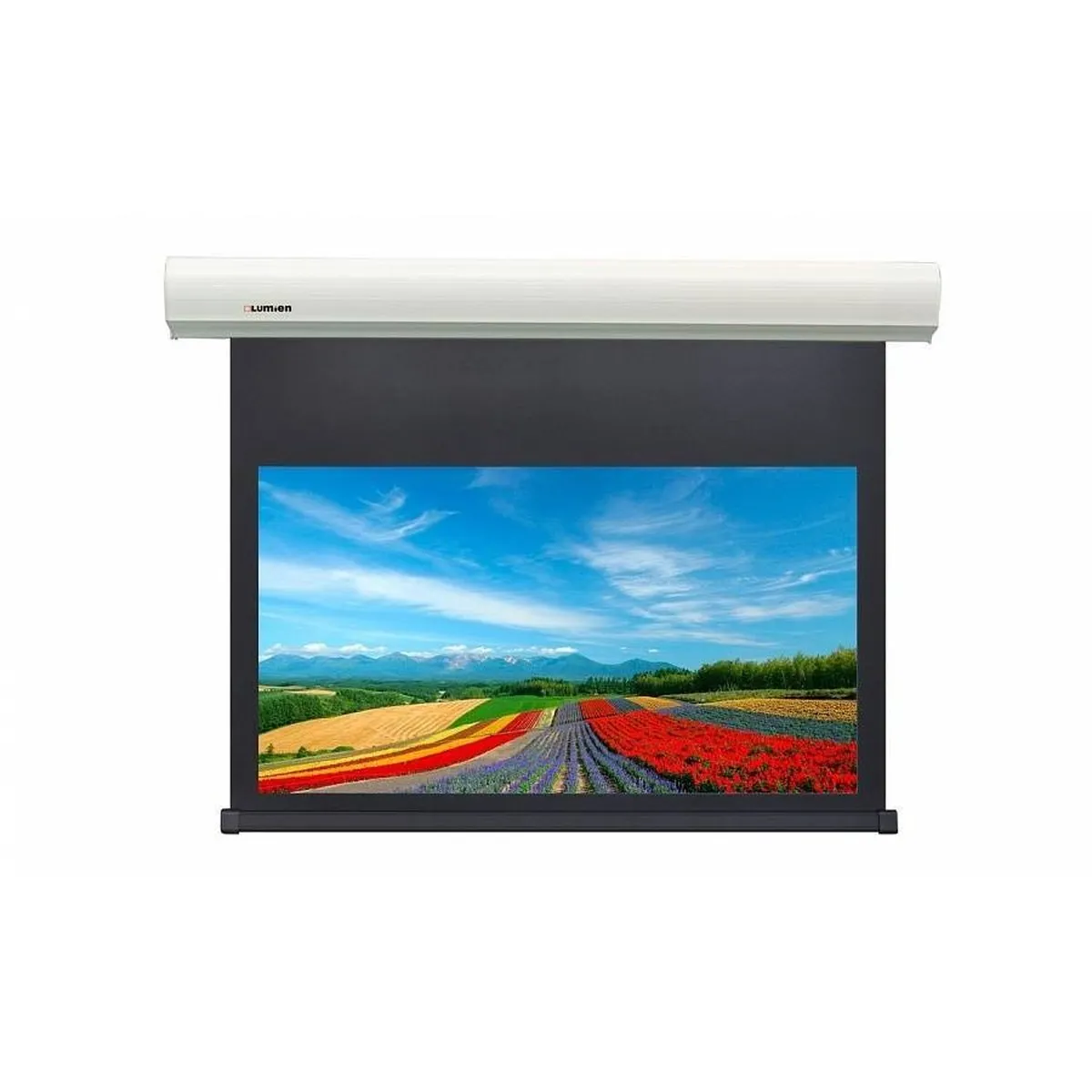 Экран проекционный Lumien Cinema Control LCC-100114, 119", 16:9, 272×185 см, Matte White FiberGlass, электропривод
